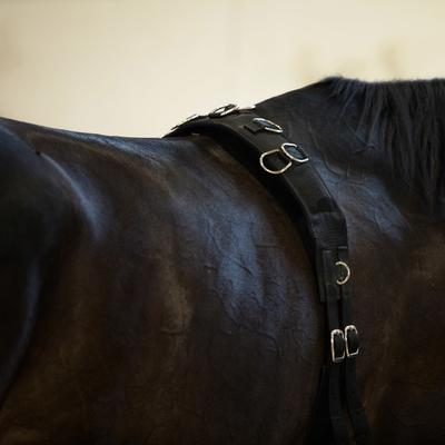 Show full view: Horze Lunging Surcingle, Black, Horse slide 6 of 7