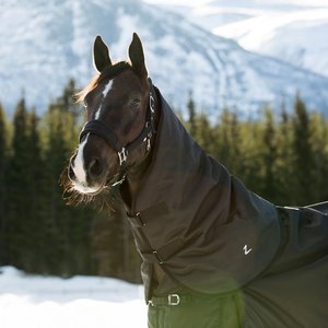 Shires Equestrian Products Highlander Plus 100-g Neck Cover Horse Blanket Attachment, Maroon