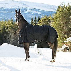 Horze Nevada Heavyweight 400-g Winter Horse Turnout Blanket, Black, 69-in