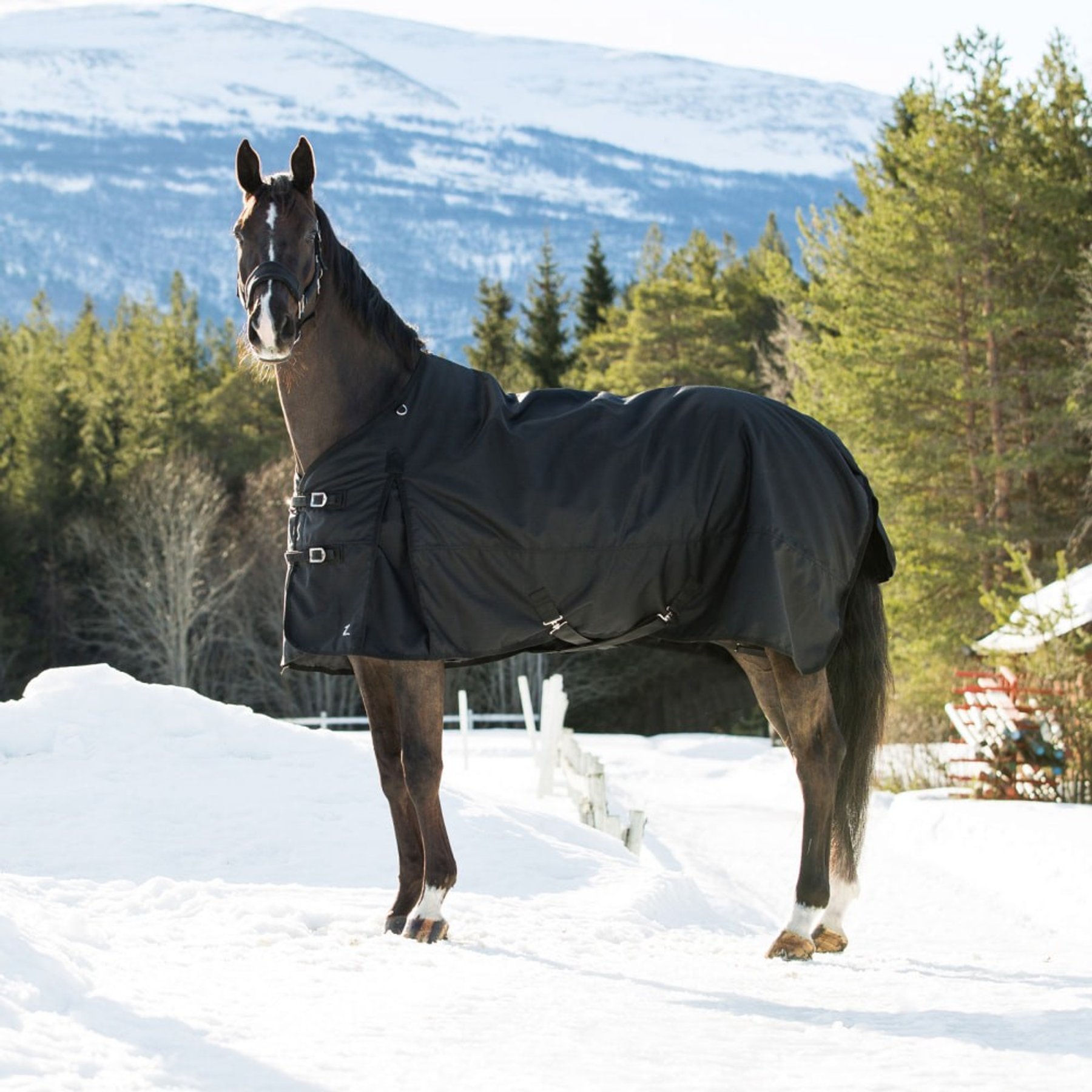 Horze Nevada Heavyweight 400-g Winter Horse Turnout Blanket, Black, 78-in