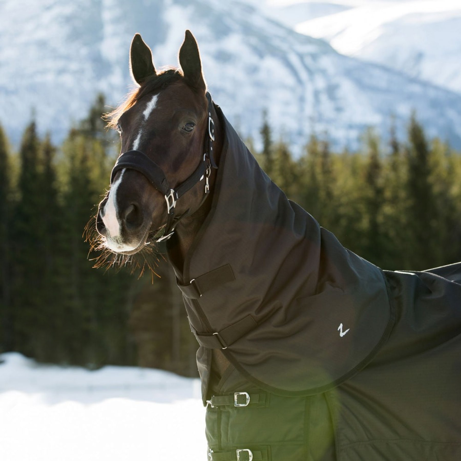 Horze Nevada Horse Turnout Neck Cover, Black, Large