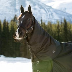 Horze Nevada Horse Turnout Neck Cover, Black, Small