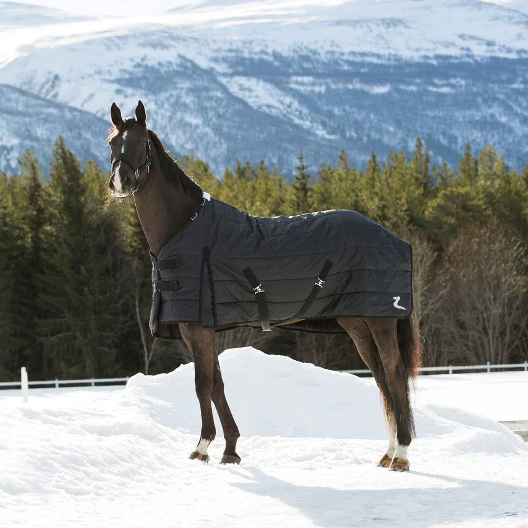 Horze Nevada Lightweight 100-g Horse Stable Blanket, Black, 78-in