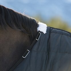 Horze Nevada Lightweight 100-g Horse Stable Blanket, Black, 84-in slide 2 of 4