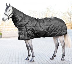 Horze Nevada Medium Weight 200-g Horse Stable Blanket, Black, 69-in slide 2 of 9