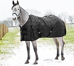 Horze Nevada Medium Weight 200-g Horse Stable Blanket, Black, 75-in