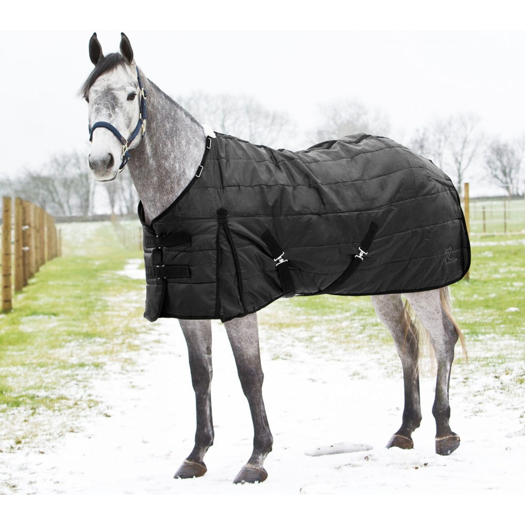 Horze Nevada Medium Weight 200-g Horse Stable Blanket, Black, 78-in