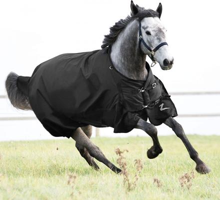 Show full view: Horze Nevada Medium Weight Turnout Horse Blanket, Black, 81-in slide 1 of 9