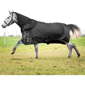 Horze Nevada Medium Weight Turnout Horse Blanket, Black, 84-in