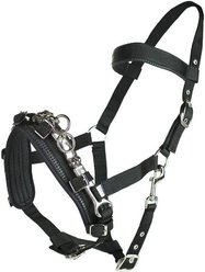 Horze Nylon Lunging Cavesson Horse Bridle, Black, Horse