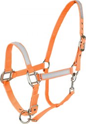 Horze Reflective Horse Halter, Orange, Shetland