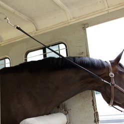 Horze Rubber Trailer Tie, Black, 40-in slide 2 of 4