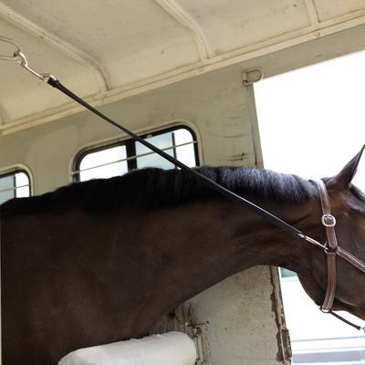 Show full view: Horze Rubber Trailer Tie, Black, 40-in slide 3 of 4