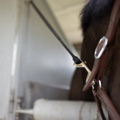 Show full view: Horze Rubber Trailer Tie, Black, 40-in slide 4 of 4