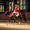 Show in main carousel: Horze Santa Horse Harness, Red, Pony slide 2 of 3