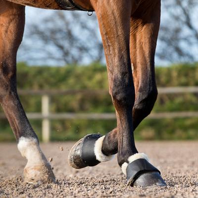 Show full view: Horze Signature Horse Bell Boots, 2 count, White, X-Large slide 8 of 11