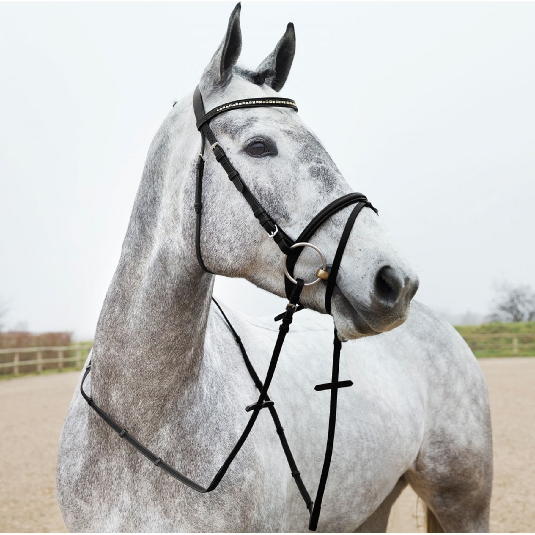 Horze Slender Intertwined Horse Reins, Black, Horse