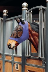 Horze Soft Stretch Horse Fly Mask, Purple, Horse slide 2 of 2
