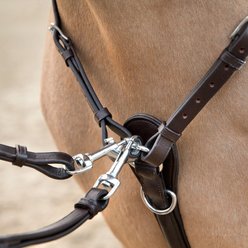 Horze Venice Combined Running Martingale Breastplate, Dark Brown, Cob slide 2 of 5