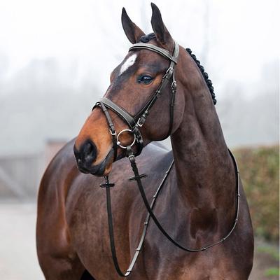 Show full view: Horze Venice Soft Padded Horse Bridle, Black, Horse slide 4 of 5