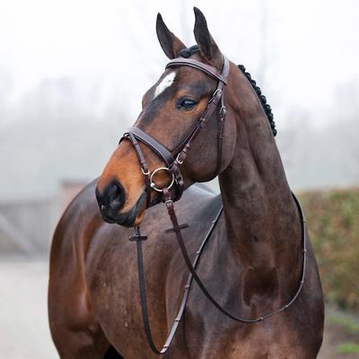 Show full view: Horze Venice Soft Padded Horse Bridle, Dark Brown, Horse slide 3 of 4