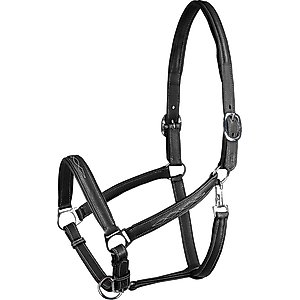 Horze Warren Soft Leather Horse Halter, Black, Cob