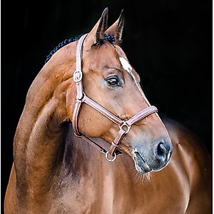 Horze Warren Soft Leather Horse Halter, Light Brown, Horse