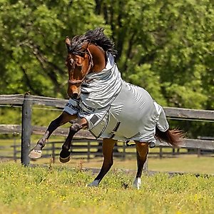 Horze Warren Soft Leather Horse Halter, Light Brown, Horse