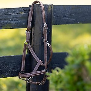 Horze Warren Soft Leather Horse Halter, Light Brown, Horse