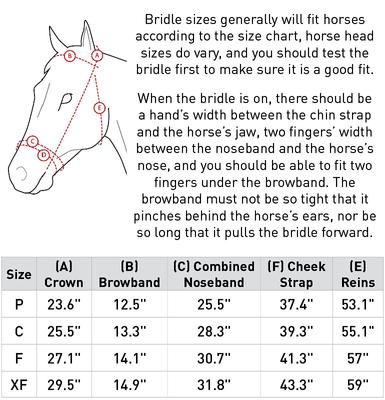 Show full view: Horze Weston Snaffle Horse Bridle, Black, Cob slide 2 of 5