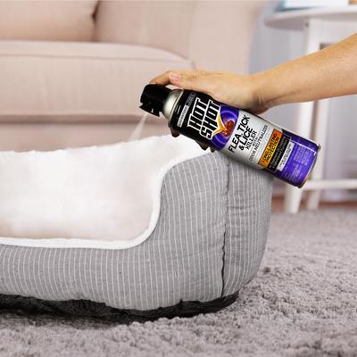 Show full view: Hot Shot Flea, Tick & Lice Killer Spray, 14-fl oz bottle slide 7 of 7