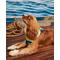 Show in main carousel: Hotel Doggy Dog Bandana, Island Paradise, Medium/Large slide 5 of 5