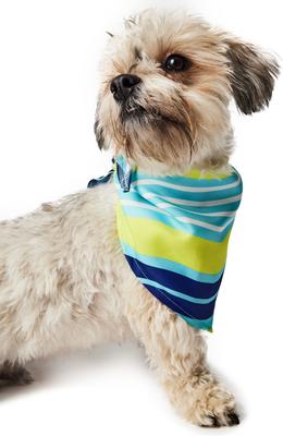 Show full view: Hotel Doggy Dog Bandana, Island Paradise, X-Small/Small slide 3 of 5