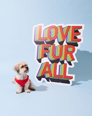 Show full view: Hotel Doggy Dog Tank Top, Fiery Red, Small slide 6 of 6