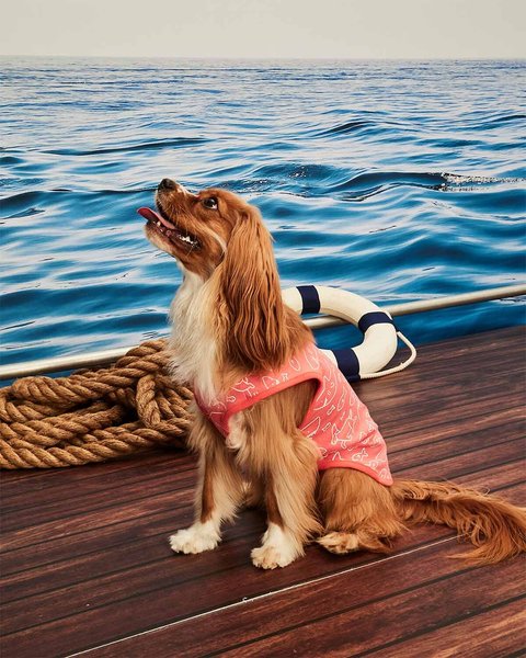 Show full view: Hotel Doggy Dog Tank Top, Living Coral, Medium slide 4 of 7