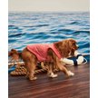 Show in main carousel: Hotel Doggy Dog Tank Top, Living Coral, Medium slide 5 of 7