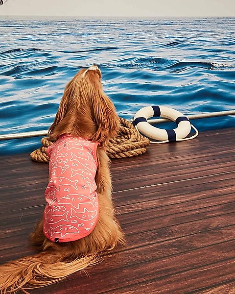 Show full view: Hotel Doggy Dog Tank Top, Living Coral, Medium slide 6 of 7