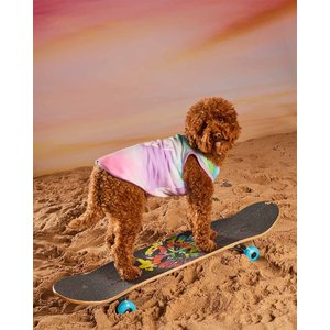 Hotel Doggy Dog Tank Top, Multi, X-Small