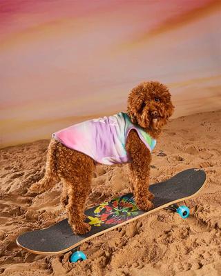 Show full view: Hotel Doggy Dog Tank Top, Multi, X-Small slide 6 of 9