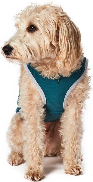 Show full view: Hotel Doggy Love You To The Park & Back Dog Tank, X-Small slide 3 of 5