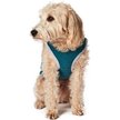 Show in main carousel: Hotel Doggy Love You To The Park & Back Dog Tank, X-Small slide 3 of 5