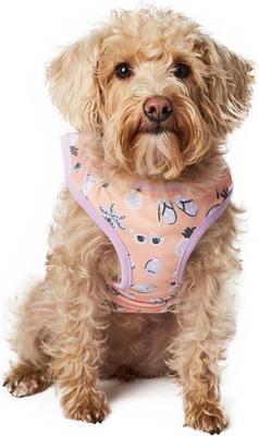 Show full view: Hotel Doggy Vacay Mode Dog Tank, X-Large slide 3 of 5