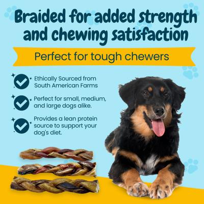 Show full view: HOTSPOT PETS 12-in Braided Bully Sticks Dog Treats, 6 count slide 7 of 8