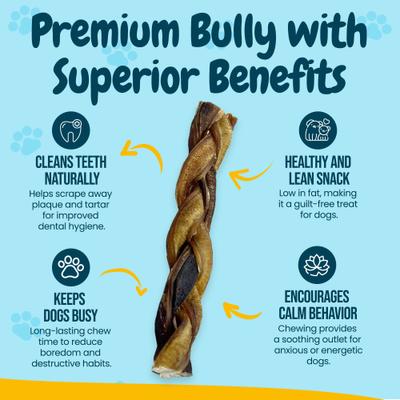 Show full view: HOTSPOT PETS 12-in Braided Bully Sticks Dog Treats, 6 count slide 6 of 8