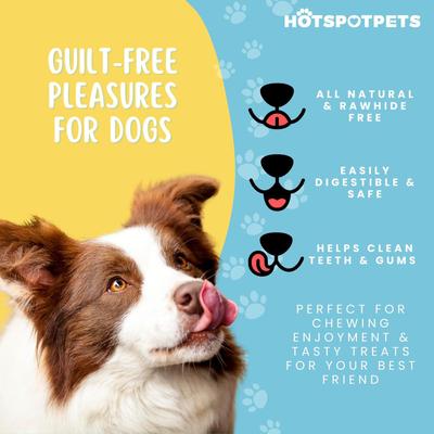 Show full view: HOTSPOT PETS 12-in Flat Beef Gullet Dog Treats, 12 count slide 9 of 11
