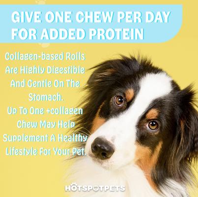 Show full view: HOTSPOT PETS 12-in Peanut Butter Crunchy Munchy Rolls Dog Treats, 2 count slide 9 of 10