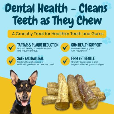 Show full view: HOTSPOT PETS 12-in Whole Beef Trachea Tubes Dog Chew Treats, 3 count slide 7 of 10