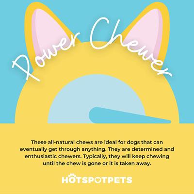 Show full view: HOTSPOT PETS 3 to 4-in Himalayan Yak Cheese Dog Chew Treats, Small, 6 count slide 10 of 11