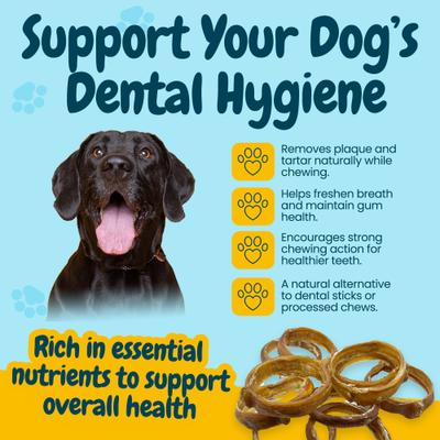 Show full view: HOTSPOT PETS 4 to 5-in Beef Bully Rings Dog Treats, Large, 3 count slide 6 of 11