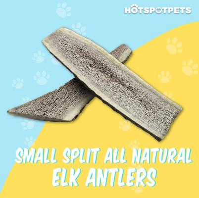 Show full view: HOTSPOT PETS 4 to 5-in Split Elk Antlers Dog Treats, Small, 1 count slide 4 of 10